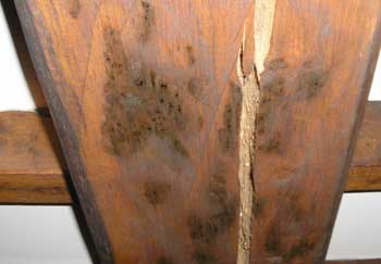 Crack in a wooden carrier beam in a cottage ceiling - fill with Mouldable Epoxy Putty